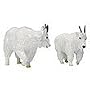 Noah's Pals: Mountain Goat