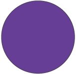 Daydots Dissolvable - Solid Purple 11032-08-00