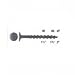 Tools & Hardware : Tyrex GCS6125B #6 x 1-1/4" Drywall To Wood Gray Phosphate Sharp Point #2 Phillips Head 4000 Per Tub