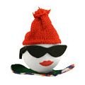 Snowboarder Girl Antenna Ball Topper