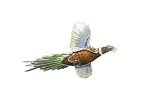 Clearly Charming Pheasant Bird Silver & Enamel Pin
