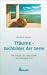 Tr�ume - Suchbilder der Seele. Der Traum als Lebenshilfe und Dialogpartner. by G�nther Feyler