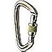 Black Diamond Positron Screwgate Carabiner