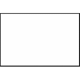 Promaster Solid Color Muslin Backdrop - 10'x12' - White
