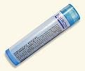 Pareira Brava 30 C - 80 - Pellet