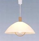 HITACHI ���M��100W �y���_���g LP10629