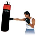 65 lb. Filled Punching Bag