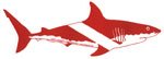 Innovative Shark Dive Flag Bumper Sticker