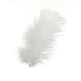 FEATHERS ALL-PURPOSE 14GR. WHITE