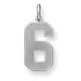 Sterling Silver Large Satin Number 6