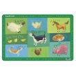 Crocodile Creek Placemat Barnyard