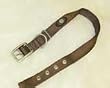 Hamilton EARTH SERIES Deluxe 1" D/T Nylon Dog Collar, Brown, 26"