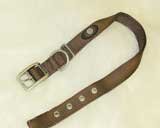 Double Thick Nylon Dog Collar, 1