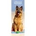 German Shepherds 2009 Slimline Wall Calendar