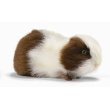 Plush Brown and White Guinea Pig 8"