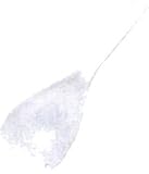 キャプテンスタッグ(CAPTAIN STAG) プラスチック製飯ベラ16cm M-8054