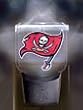 Tampa Bay Bucaneers Team Night Light