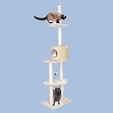 Kitty Sky Tower