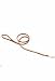 Pet Supplies : Coastal Pet Circle T Latigo Leather Dog Leash / Lead (4 ft. L x 3/4 inch W)