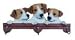 Jack Russell Terrier Leash Hook
