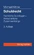 Schuldrecht. Rechtliche Grundlagen, wirtschaftliche Zusammenh�nge