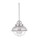 69058L-98 - SeaGull Lighting Two-Light Fluorescent Outdoor Pendant