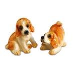image link -  - B002QA7V22