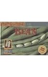 Bean (Life Cycles)