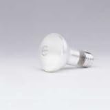Double Life Flood Bulb, 50 Watt