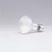 Electronics : Double Life Flood Bulb, 50 Watt