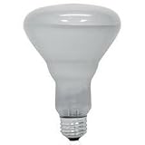 GE Longlife Indoor Reflector Floodlight Bulb, R-30, 45 Watts