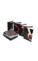 The Twilight Journals