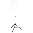Ultimate Support TS80B Speaker Stand, Black