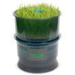 Tribest Automatic Sprouter