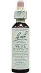 Bach Essence White Chestnut 20 Liquids