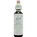 Bach Essence White Chestnut 20 Liquids