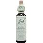 Bach Essence White Chestnut 20 Liquids