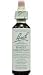 Bach Essence White Chestnut 20 Liquids