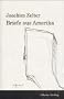 Briefe aus Amerika. Roman