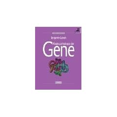 Molekularbiologie der Gene. Studienausgabe,