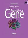 Molekularbiologie der Gene