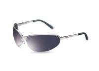 Bacou-Dalloz Harley-Davidson 500 Series Sleek Wrap-Around Silver Matte Metal Frame Gray Hard Coat Lens With Harley Logo On Lens And Temples