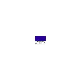 TUBE London Pro (Palm OS) downloadable Software