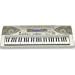 Musical Instruments : CASIO CTK900 STAD 61 Key Velocity Sensitive Music Keyboard with Stand