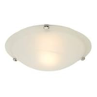 16-Inch Halogen Flushmount Ceiling Light Fixture from Destination Lighting