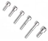 Chrome Socket Head Screw-Metric