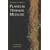 Plants in Hawaiian Medicine
