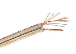 Monster Cable THX SP 16-50 Standard THX-Certified Speaker Cable (50 Feet)