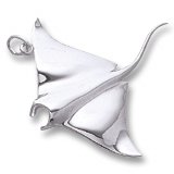 Manta Ray