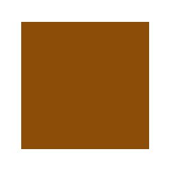 The Rave Cosmetics Liquid Foundation - Ethnic
